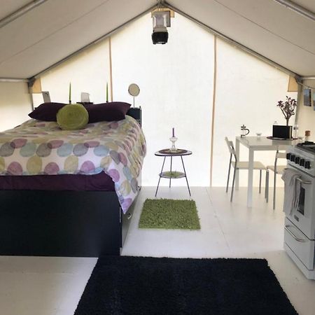 Vines And Puppies Glamping Hideaway Hotel Jade City Luaran gambar